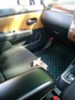 日産ティーダ